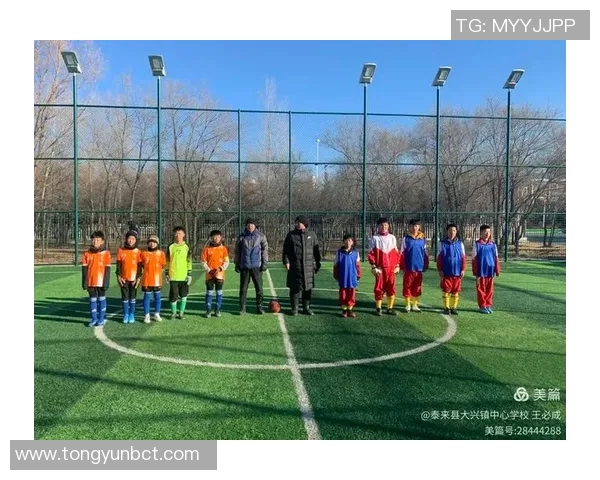 广州网球队的拼搏之路与梦想追逐在奥运会的荣耀时刻